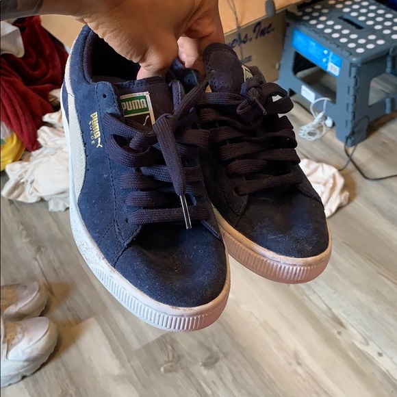 Pumas - Picture 1 of 5